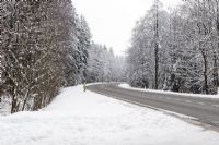 Neige abondante attendue mardi : prudence sur les routes